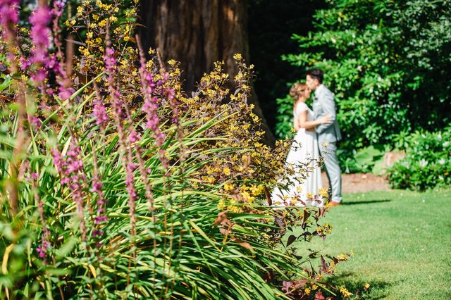 hochzeit-schottland-paar-vor-blühendem-strauch
