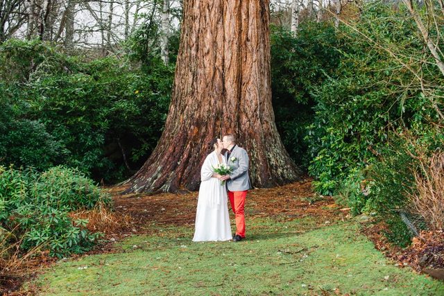 hochzeit-schottland-paar-küsst-vor-baum